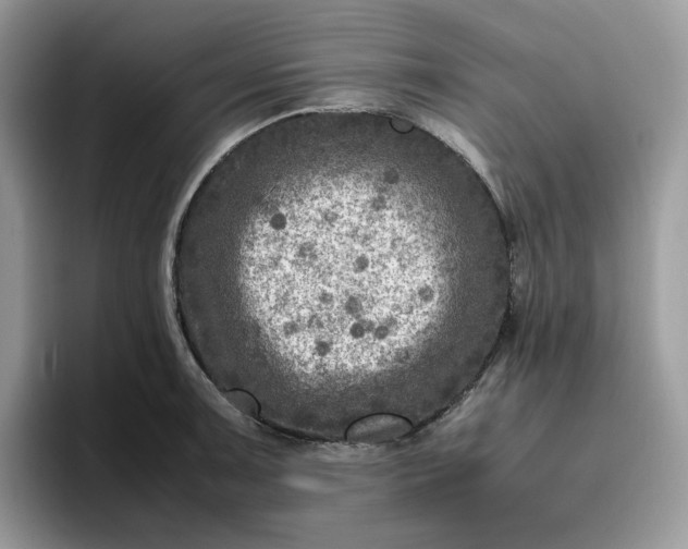 X0000095941091200801251105