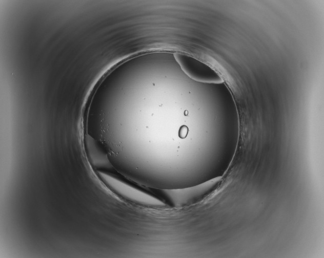 X0000095941092200801251105