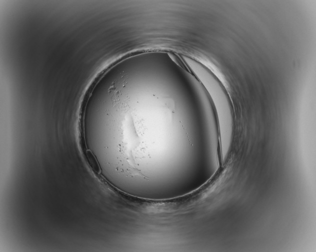 X0000095941093200801251105