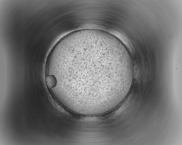 X0000095941094200801251105