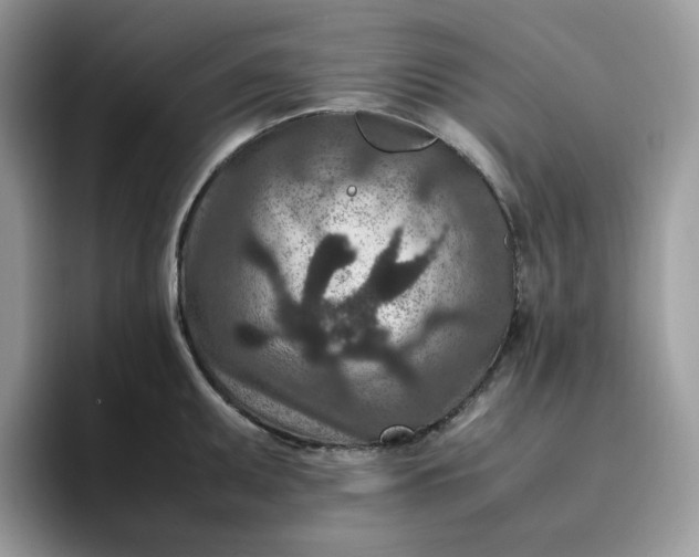 X0000095941095200801251105