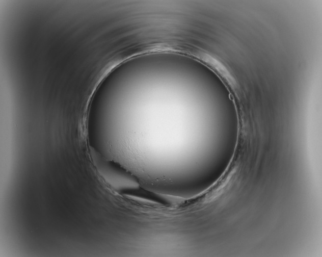 X0000095941097200801251105