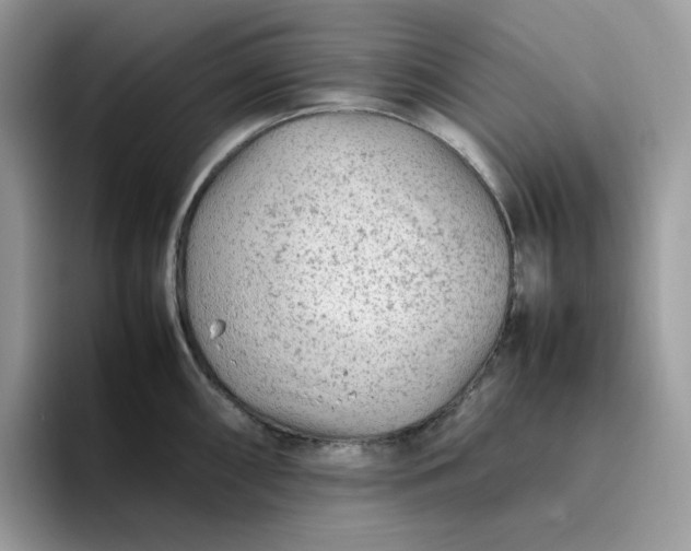 X0000095941098200801251105