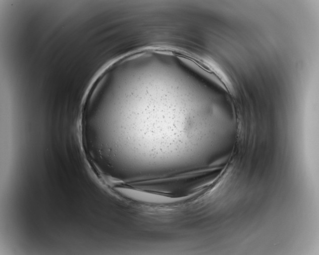 X0000095941100200801251105