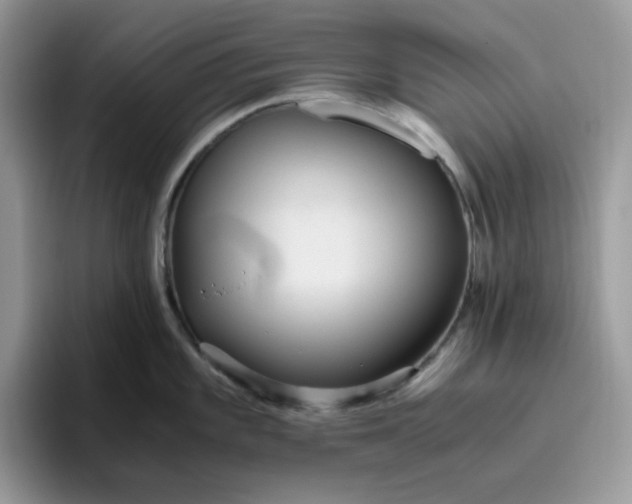X0000095941101200801251105