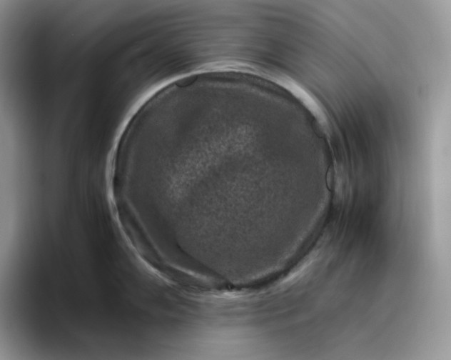 X0000095941102200801251105
