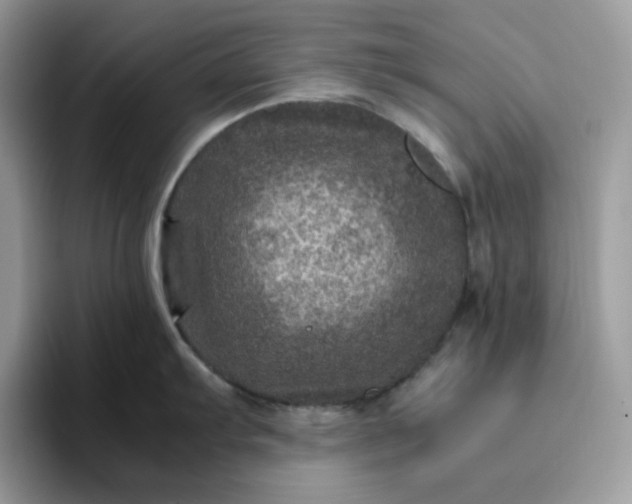 X0000095941103200801251105