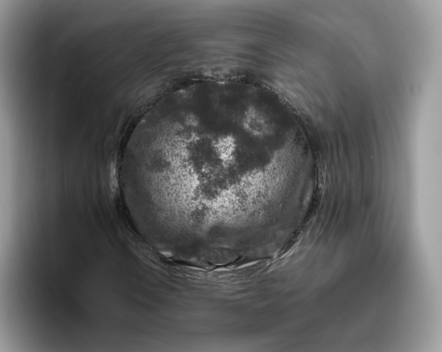 X0000095941106200801251104