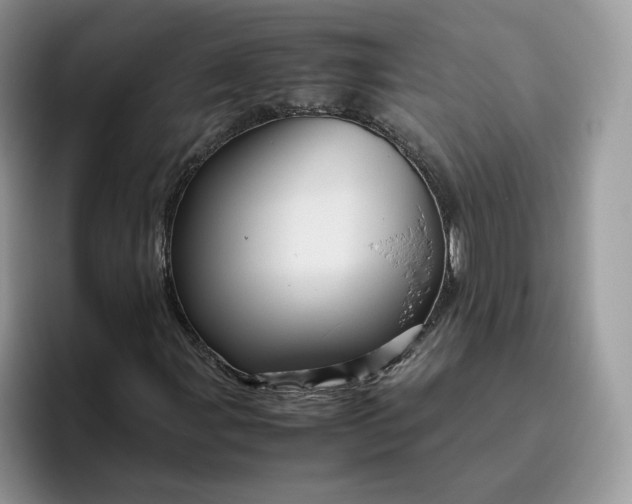 X0000095941107200801251104