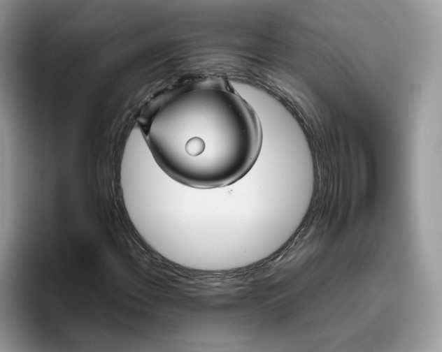X0000095941108200801251104