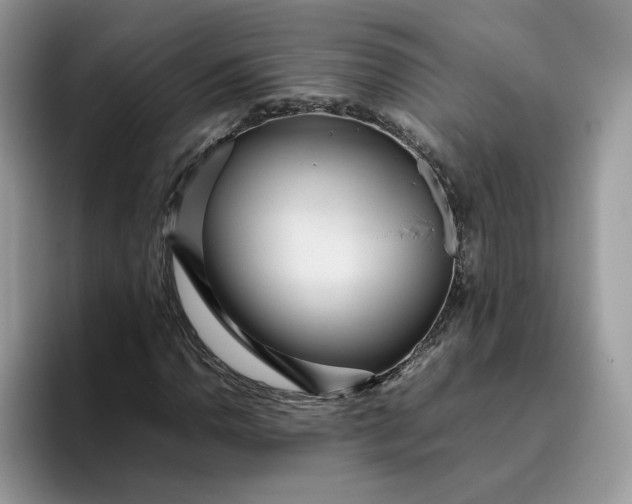 X0000095941110200801251104