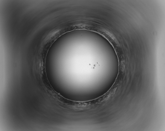 X0000095941111200801251104