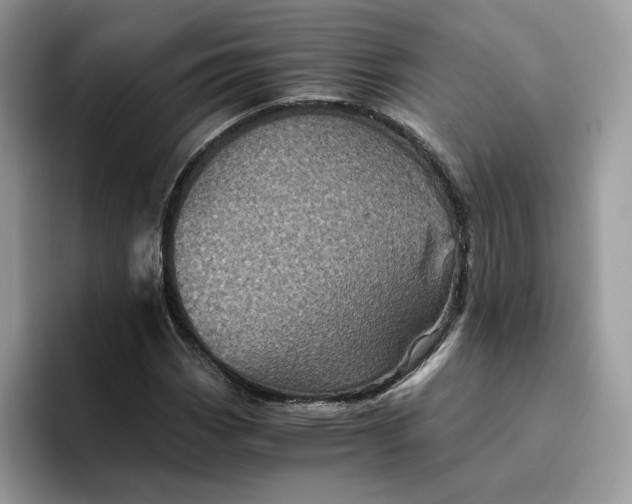 X0000095941113200801251104