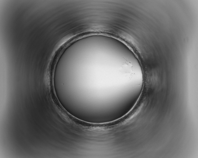 X0000095941114200801251104