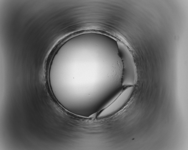 X0000095941116200801251104