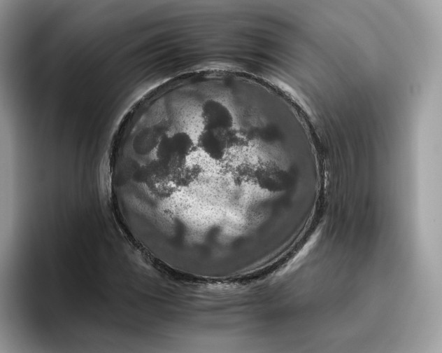 X0000095941117200801251104