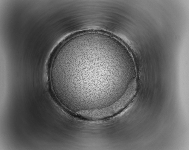 X0000095941118200801251104