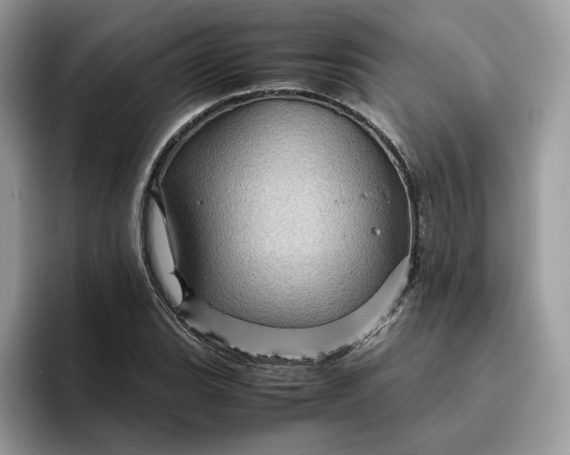 X0000095941119200801251104