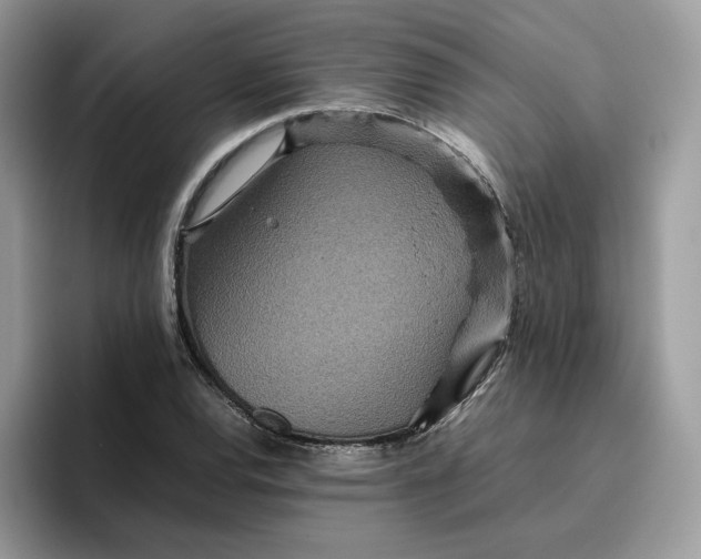 X0000095941120200801251104