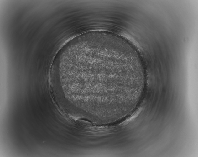 X0000095941121200801251104