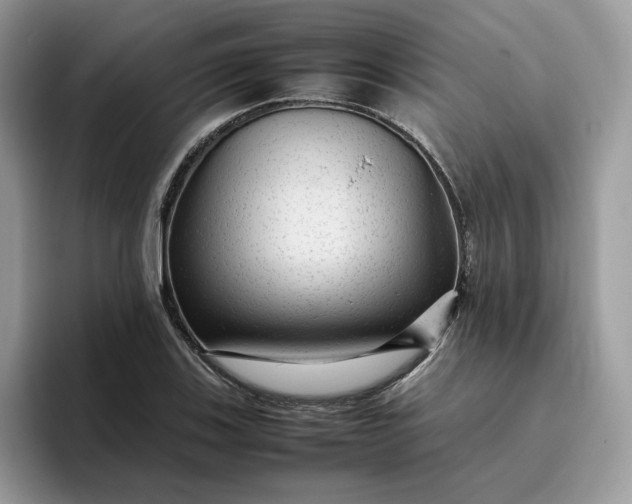 X0000095941123200801251104