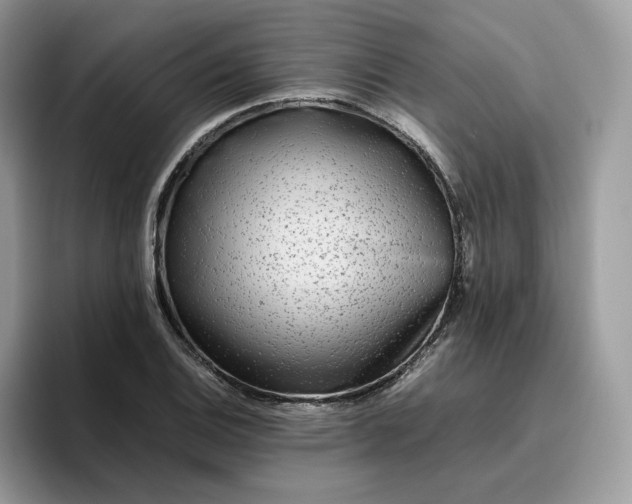 X0000095941124200801251104