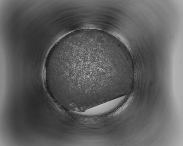X0000095941125200801251104