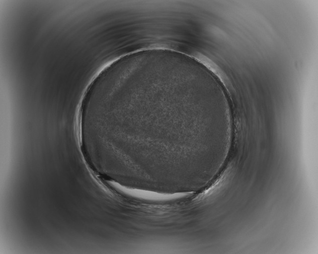 X0000095941127200801251104