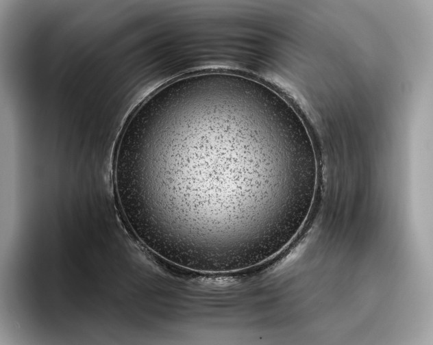 X0000095941129200801251104
