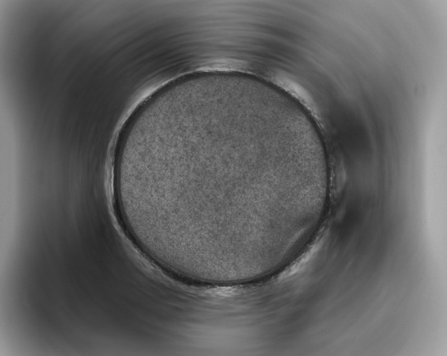 X0000095941130200801251104
