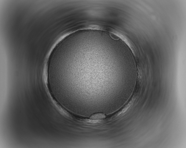 X0000095941131200801251104