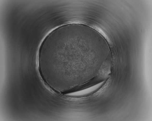 X0000095941132200801251104