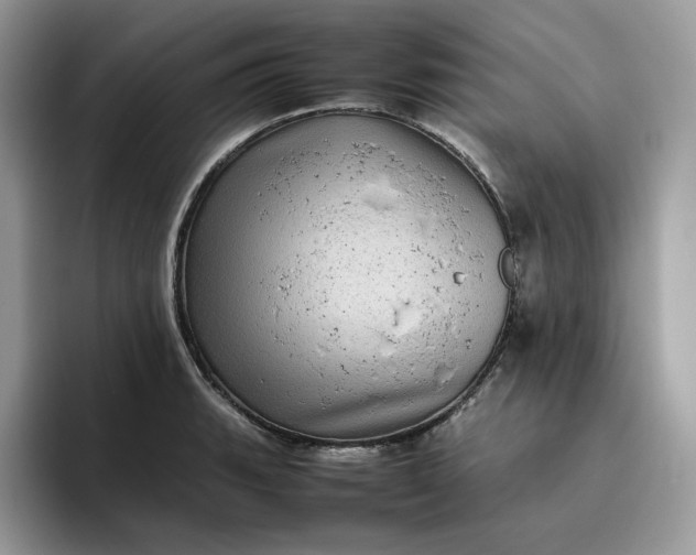X0000095941135200801251105