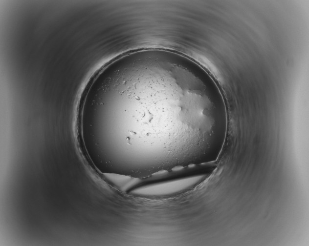 X0000095941136200801251105