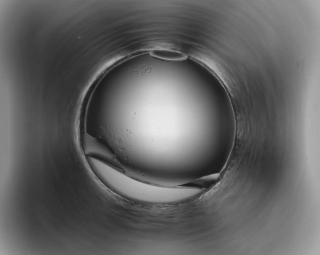 X0000095941139200801251105