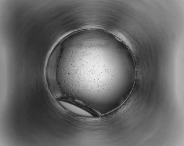 X0000095941140200801251105