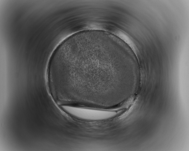 X0000095941141200801251105
