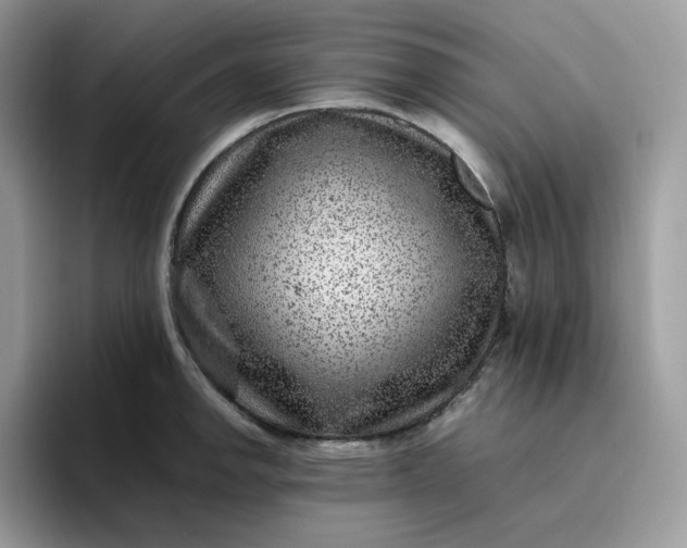 X0000095941142200801251105