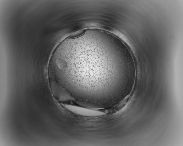X0000095941145200801251105