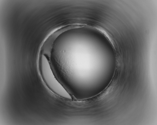 X0000095941147200801251105