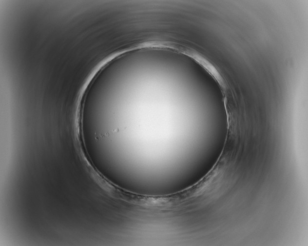X0000095941148200801251105