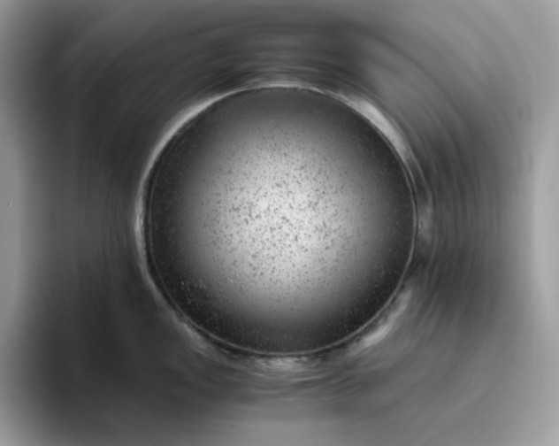 X0000095941149200801251105