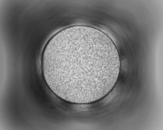 X0000095941150200801251105