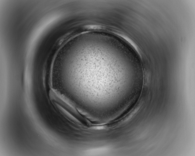 X0000095941151200801251105