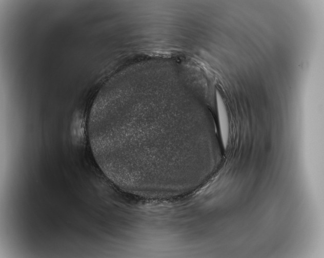 X0000095941154200801251104