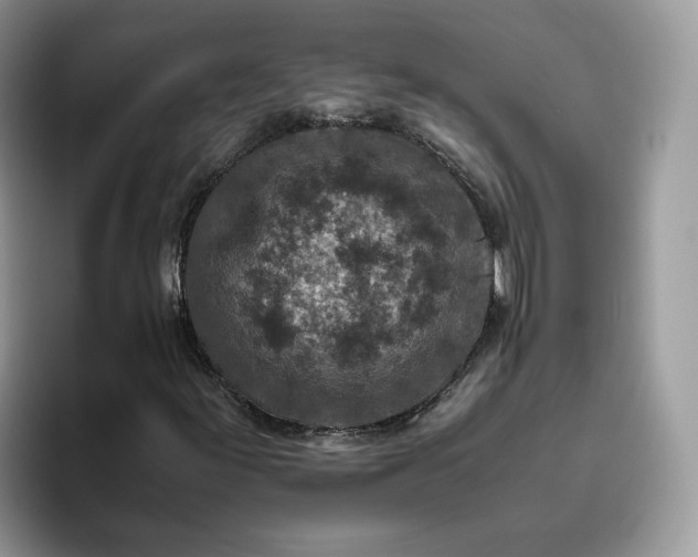X0000095941155200801251104