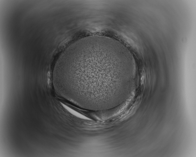 X0000095941156200801251104