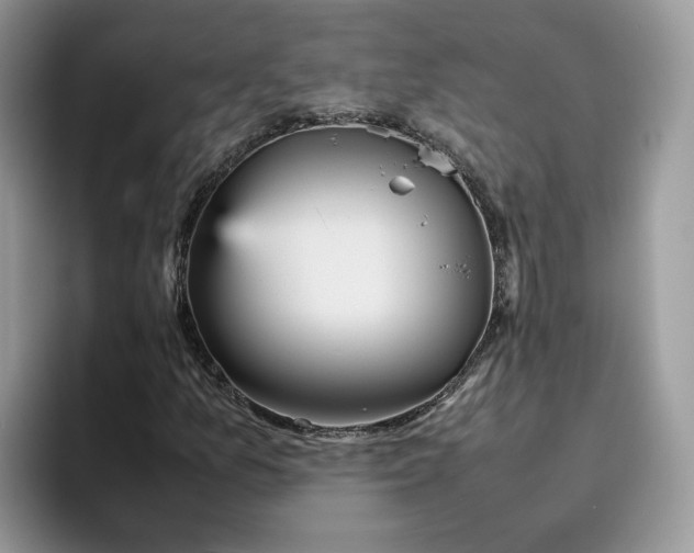 X0000095941157200801251104