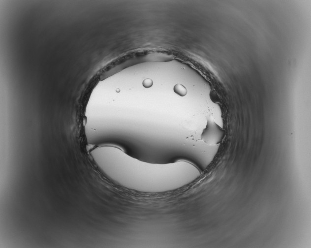X0000095941160200801251104