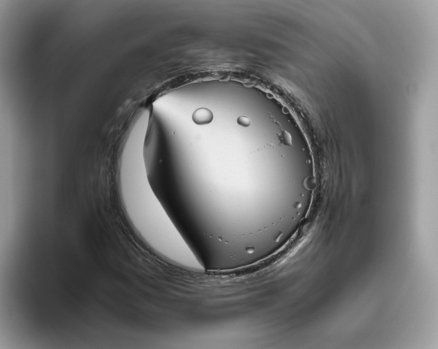 X0000095941161200801251104